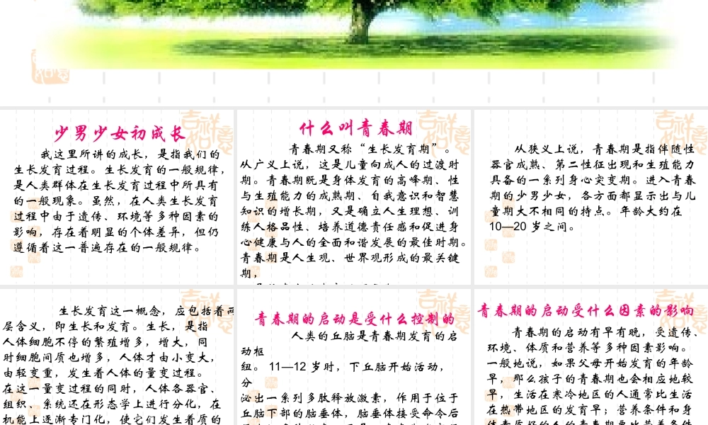 初中生青春期教育讲座