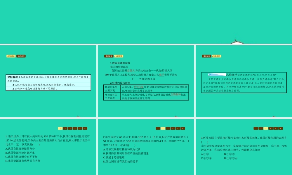 九年级政治全册 第二单元 关注自然 关注人类 第二节 我国的环境压力 第2框 资源小国课件 湘教版 课件