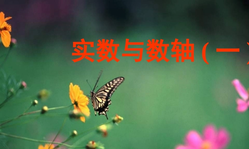 八年级数学实数与数轴课件3湘教版 课件
