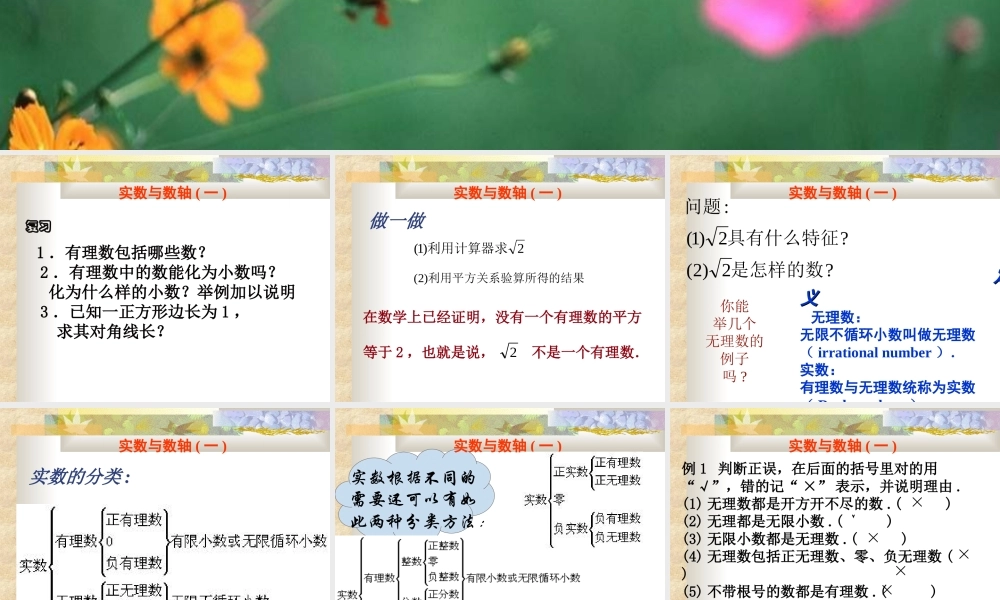 八年级数学实数与数轴课件3湘教版 课件