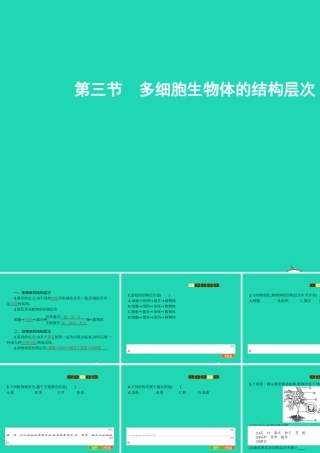 七年级生物上册 1.2.3 多细胞生物体的结构层次课件 (新版)济南版 课件