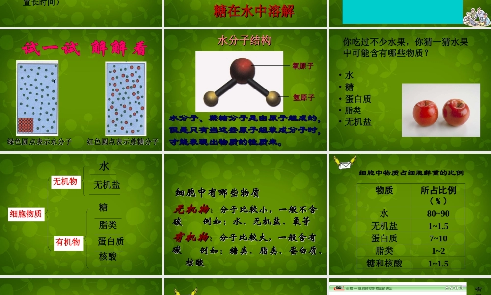 七年级生物上册 2.2.1 细胞的生活需要物质和能量课件1 新人教版 课件