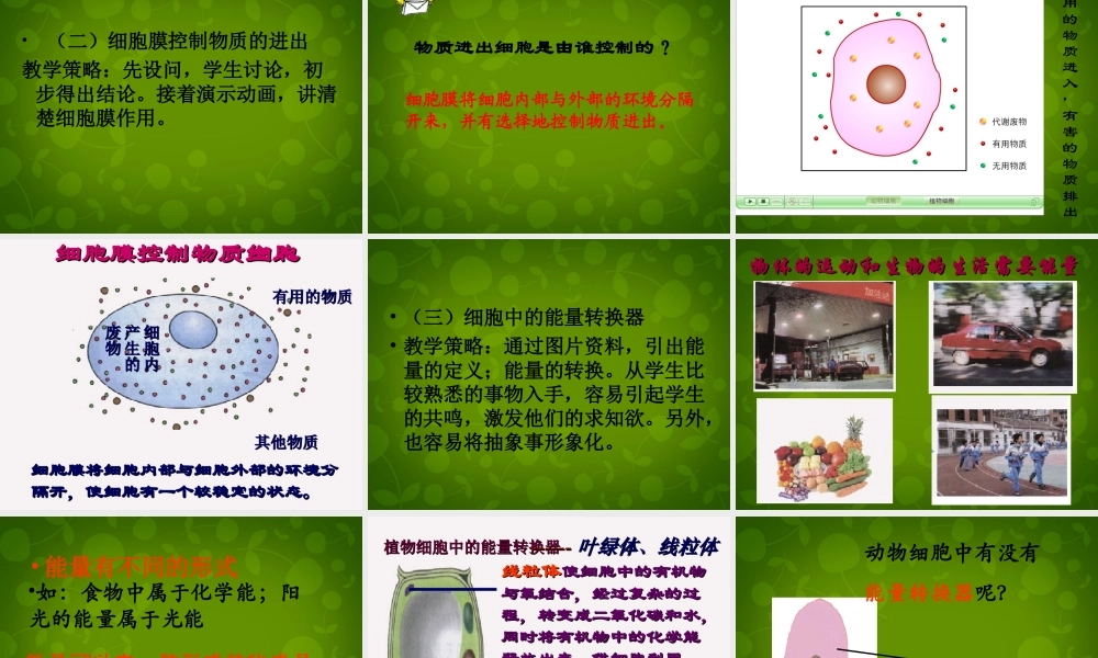 七年级生物上册 2.2.1 细胞的生活需要物质和能量课件1 新人教版 课件