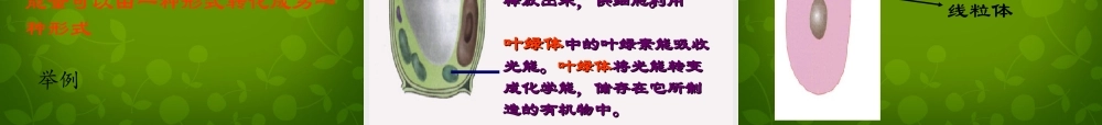 七年级生物上册 2.2.1 细胞的生活需要物质和能量课件1 新人教版 课件