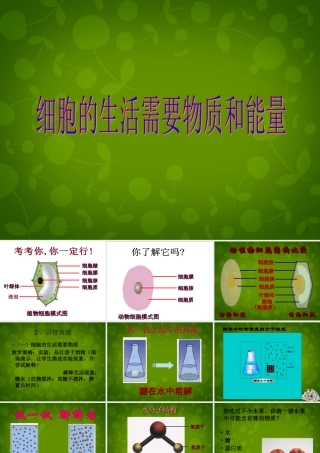七年级生物上册 2.2.1 细胞的生活需要物质和能量课件1 新人教版 课件