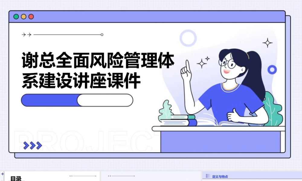 谢总全面风险管理体系建设讲座课件