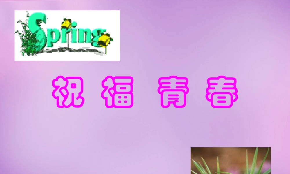 中学七年级政治上册 4.3 祝福青春课件2 新人教版 课件