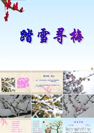 踏雪寻梅 (2)