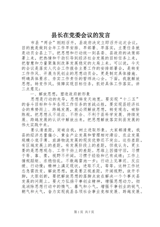 县长在党委会议的发言