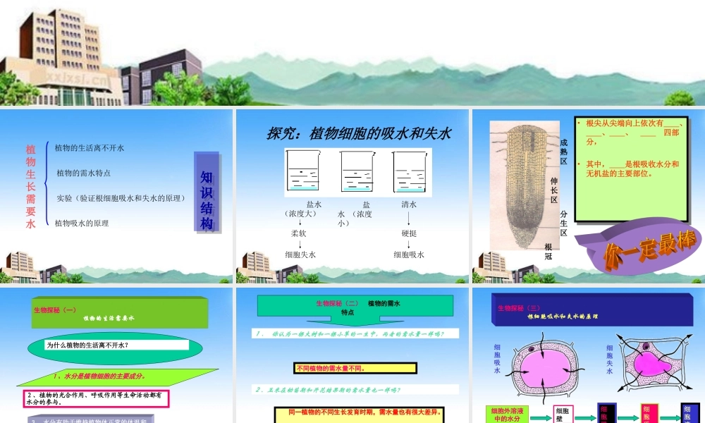 七年级生物上册 第三节 植物生长需要水和无机盐课件 苏教版 课件