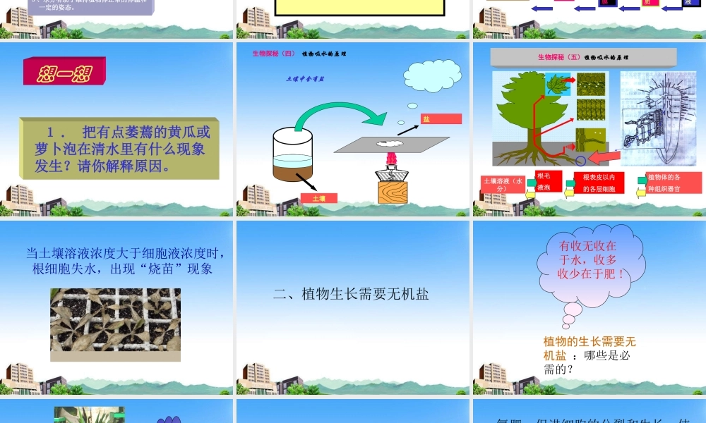 七年级生物上册 第三节 植物生长需要水和无机盐课件 苏教版 课件