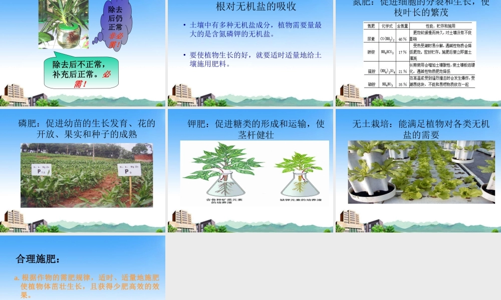 七年级生物上册 第三节 植物生长需要水和无机盐课件 苏教版 课件