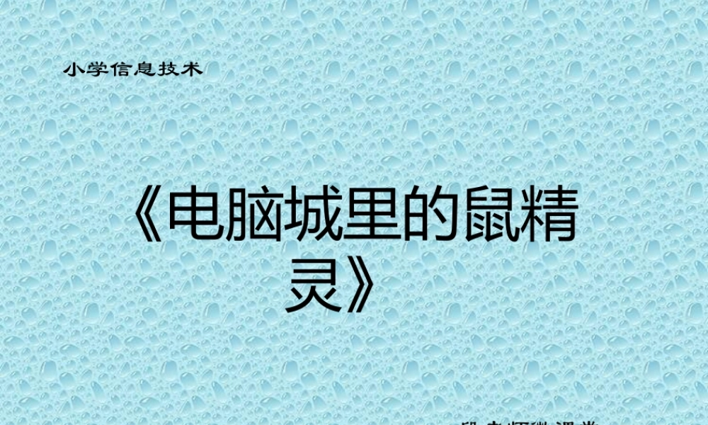电脑城里的鼠精灵