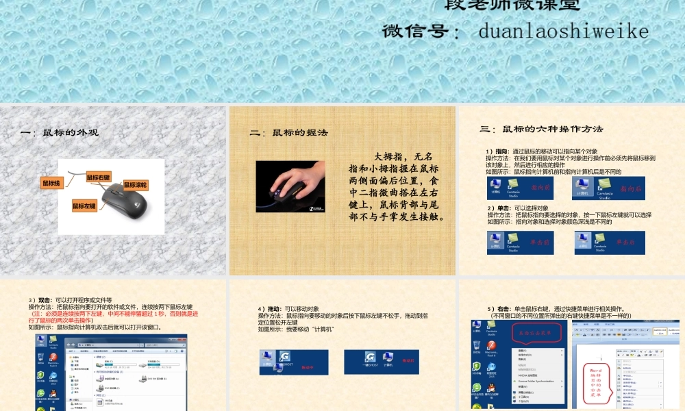 电脑城里的鼠精灵