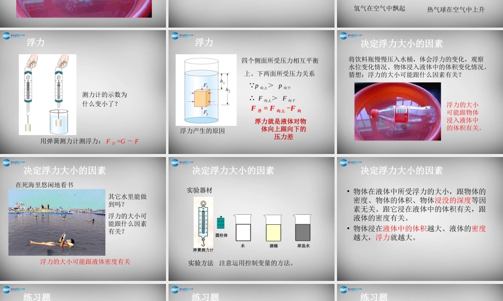 八年级物理下册 10.1 浮力课件 (新版)新人教版 课件