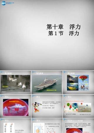 八年级物理下册 10.1 浮力课件 (新版)新人教版 课件