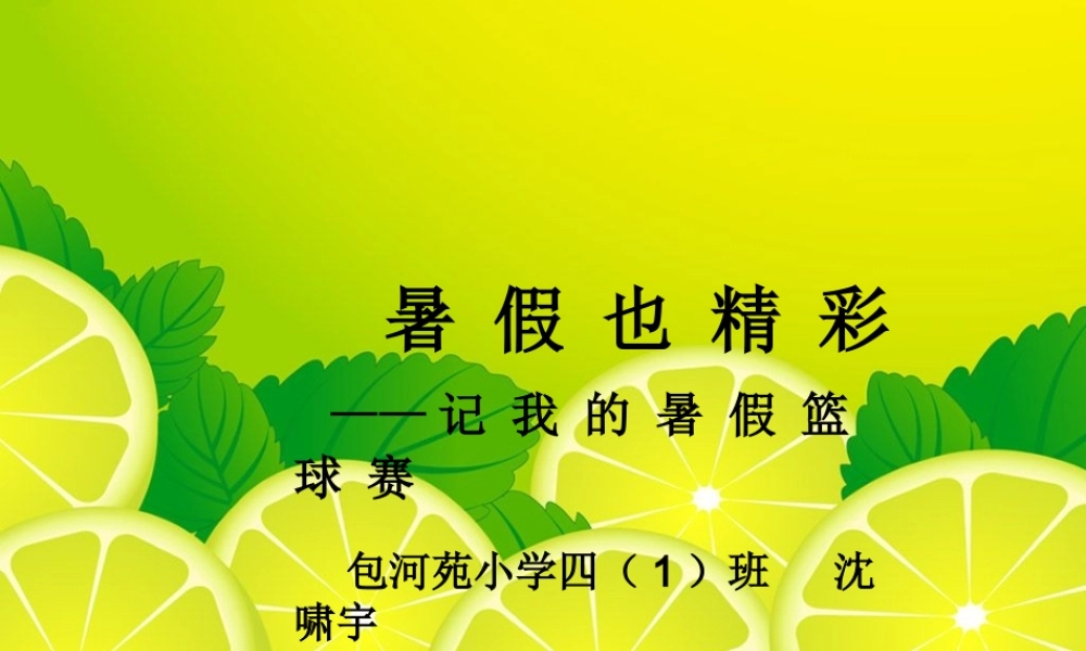 沈啸宇暑假生活小记