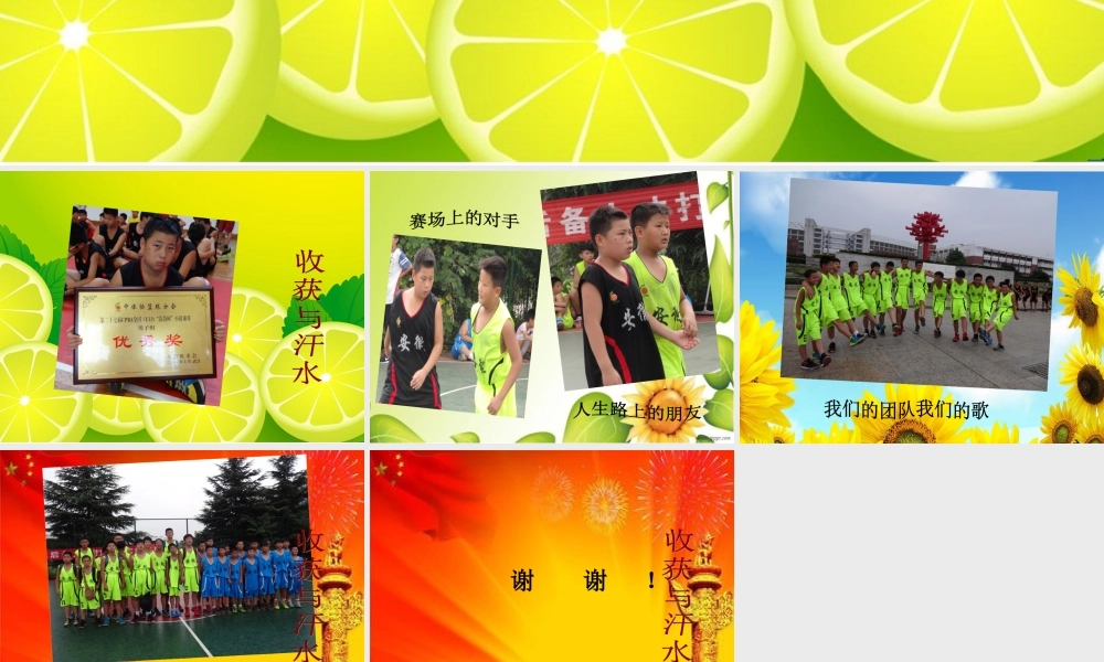 沈啸宇暑假生活小记