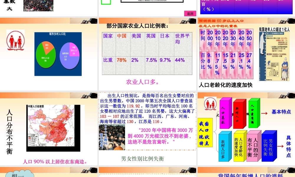 九年级政治 计划生育与保护环境1课件 人教新课标版 课件