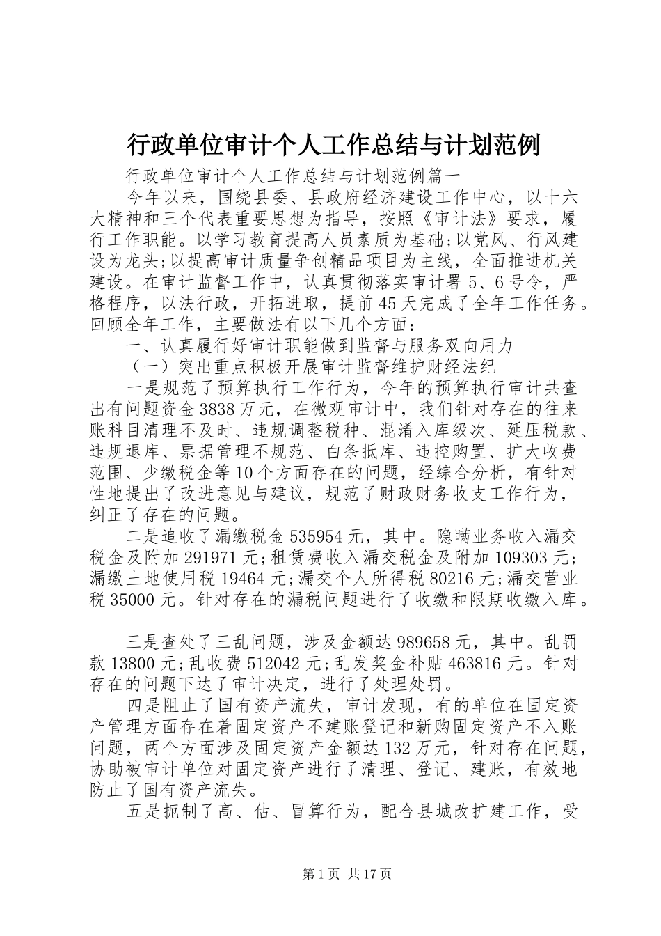 行政单位审计个人工作总结与计划范例_第1页