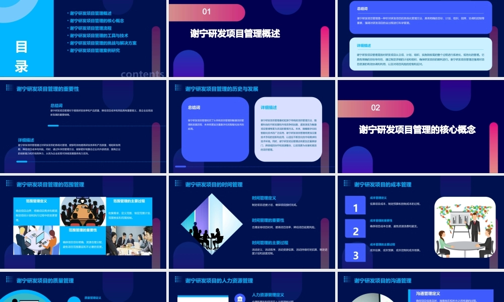 谢宁研发项目管理中华讲师网资料课件