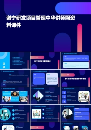 谢宁研发项目管理中华讲师网资料课件