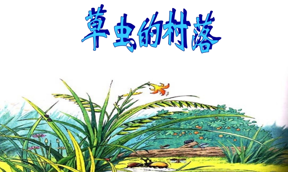《草虫的村落》课件4