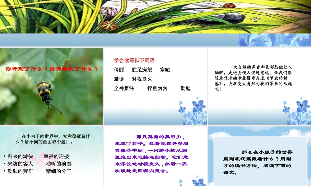 《草虫的村落》课件4