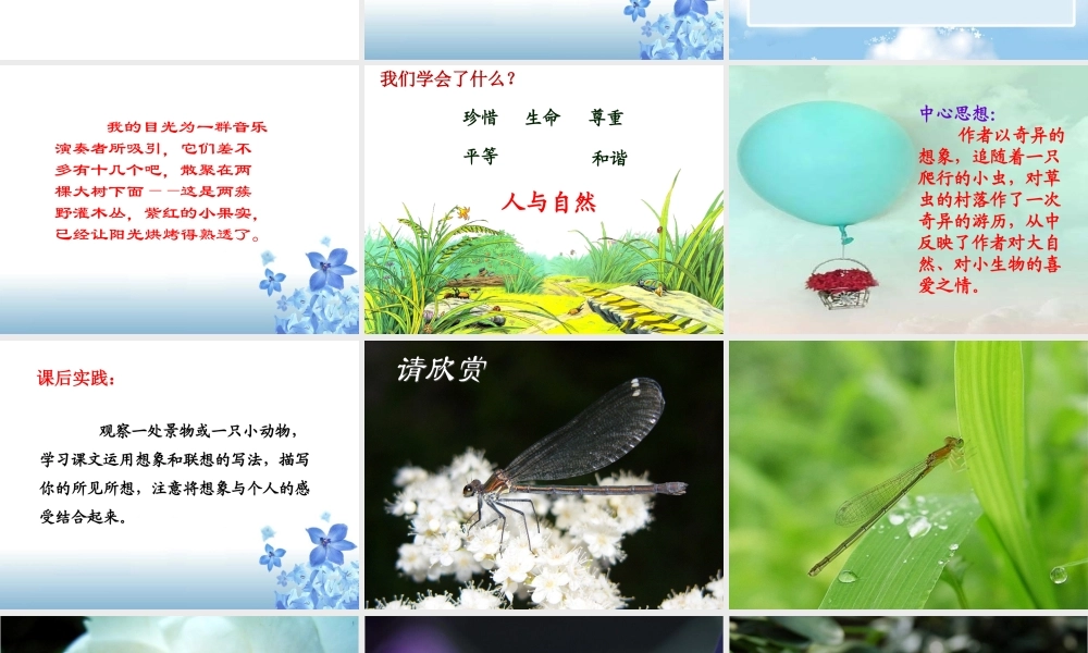 《草虫的村落》课件4