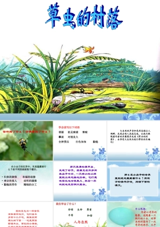 《草虫的村落》课件4