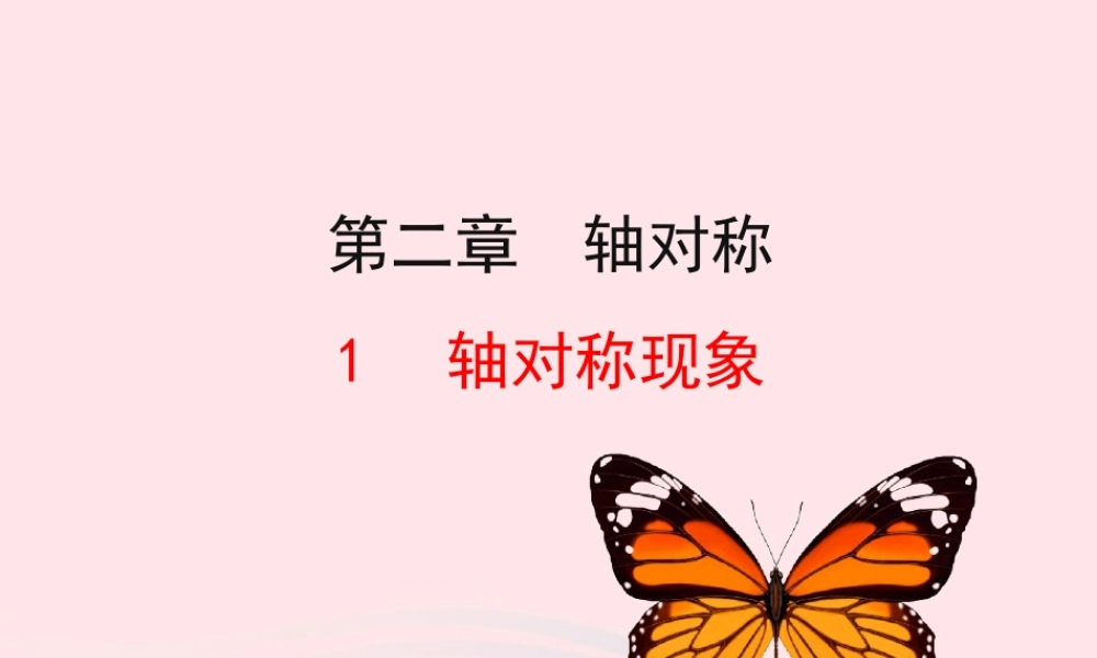七年级数学上册 第二章 轴对称 1轴对称现象课件 鲁教版五四制 课件