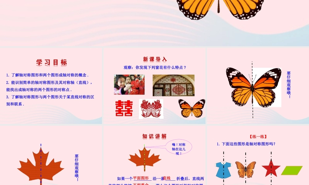 七年级数学上册 第二章 轴对称 1轴对称现象课件 鲁教版五四制 课件