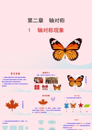 七年级数学上册 第二章 轴对称 1轴对称现象课件 鲁教版五四制 课件
