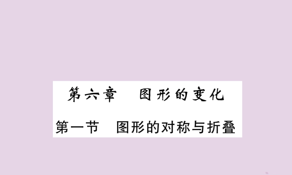 中考数学总复习 第一部分 教材知识梳理 第6章 图形的变化 第1节 图形的对称与折叠(精练)课件
