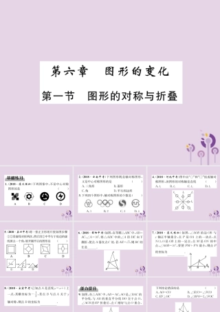 中考数学总复习 第一部分 教材知识梳理 第6章 图形的变化 第1节 图形的对称与折叠(精练)课件