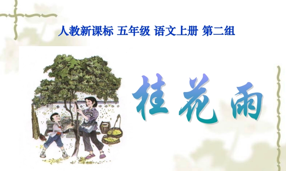 （人教新课标）五年级语文上册课件桂花雨