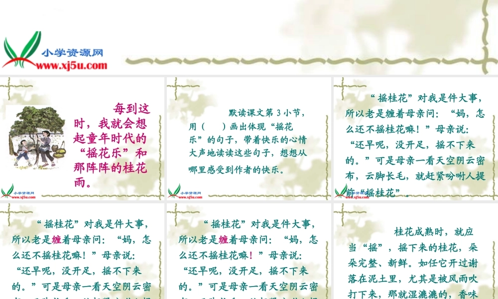 （人教新课标）五年级语文上册课件桂花雨