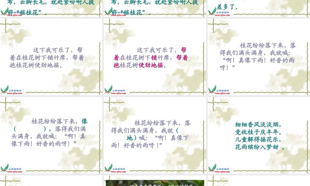 （人教新课标）五年级语文上册课件桂花雨