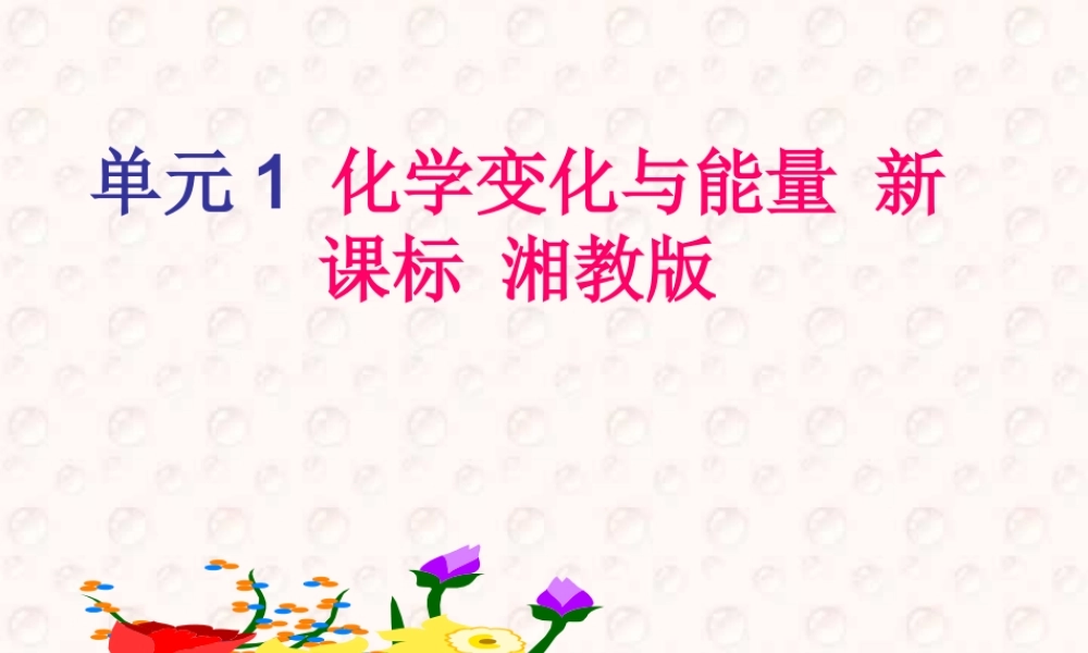 单元1 化学变化与能量 新课标 湘教版 课件