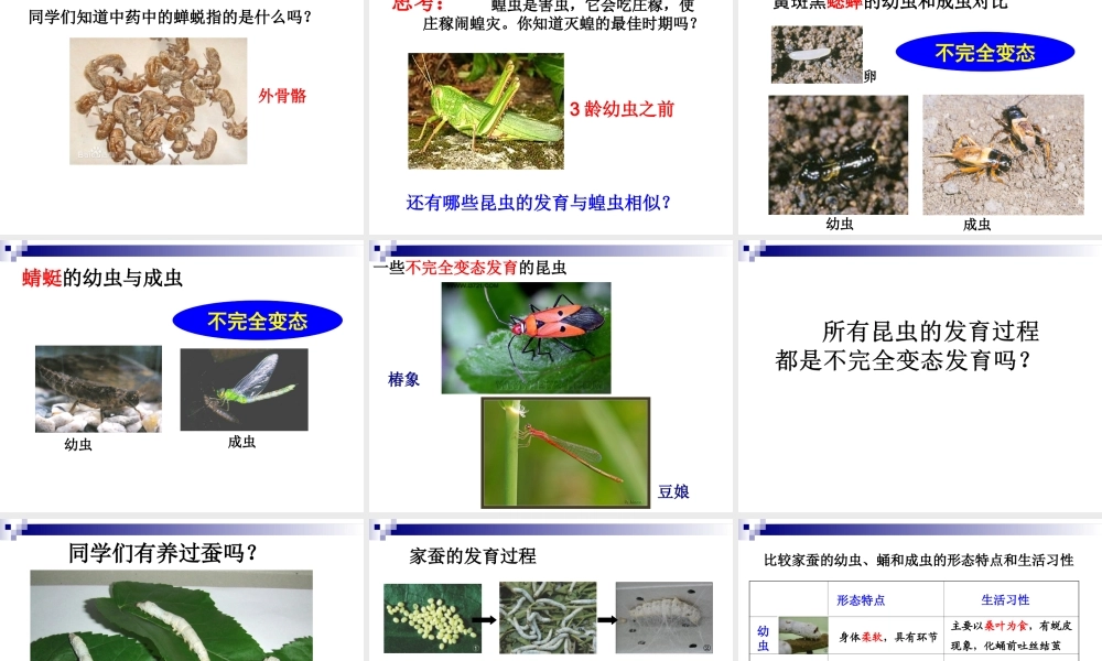 昆虫的生殖和发育 (3)