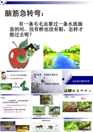 昆虫的生殖和发育 (3)