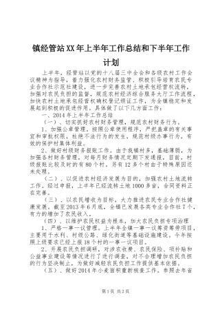 镇经管站XX年上半年工作总结和下半年工作计划