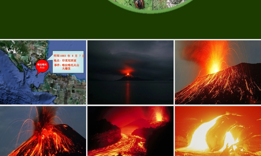 群落的演替课件