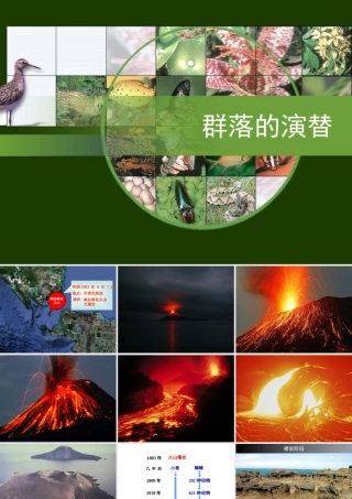 群落的演替课件