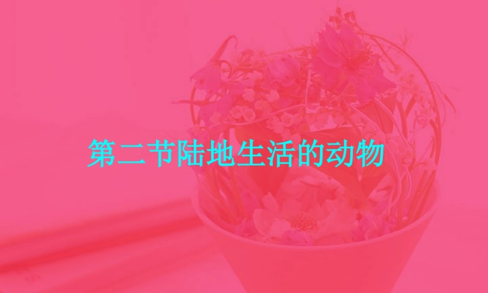 八年级上册 陆地生活的动物二 课件