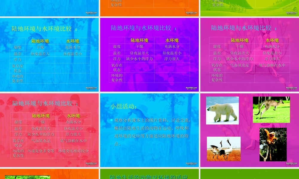 八年级上册 陆地生活的动物二 课件