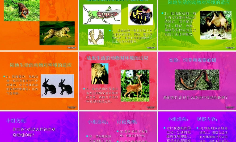 八年级上册 陆地生活的动物二 课件