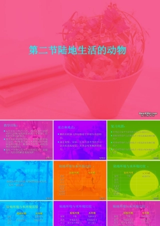 八年级上册 陆地生活的动物二 课件