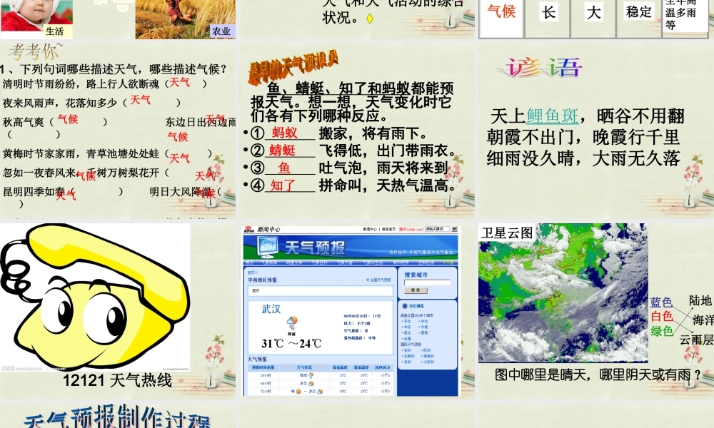 中学七年级地理上册 第4章 第1节 天气与天气预报课件 粤教版 课件