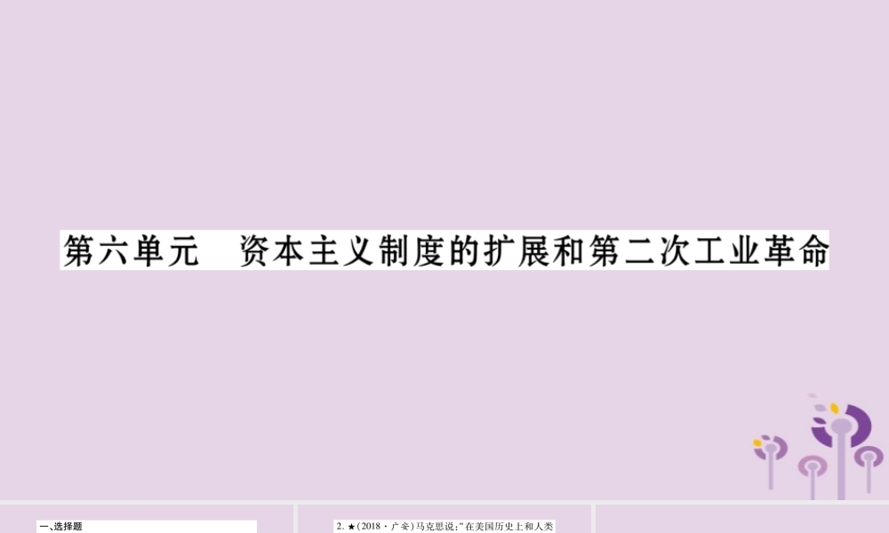 中考历史复习 第一篇 教材系统复习 第4板块 世界历史 第6单元 资本主义制度的扩展和第二次工业革命(习题)课件